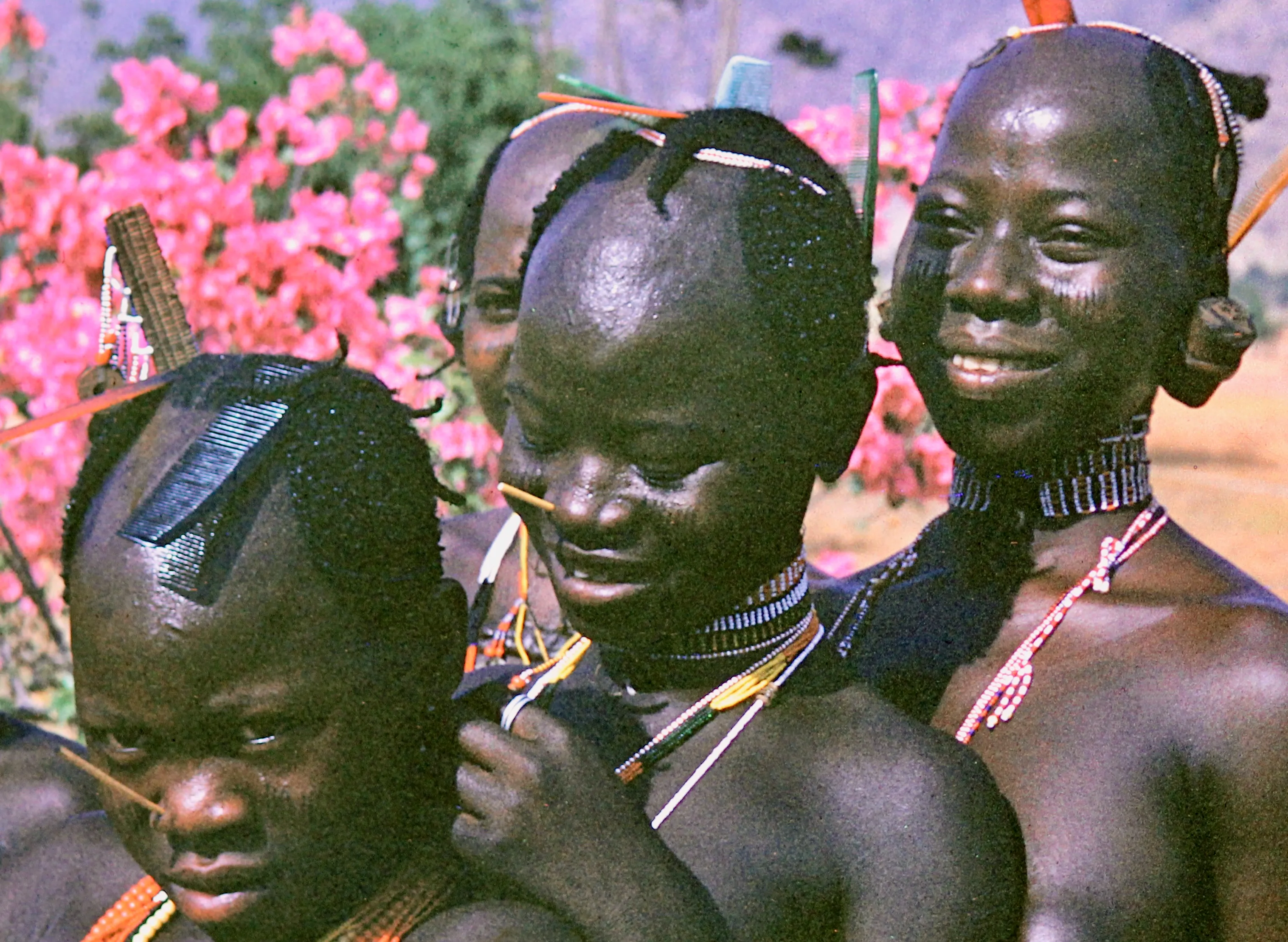Image from Young Women