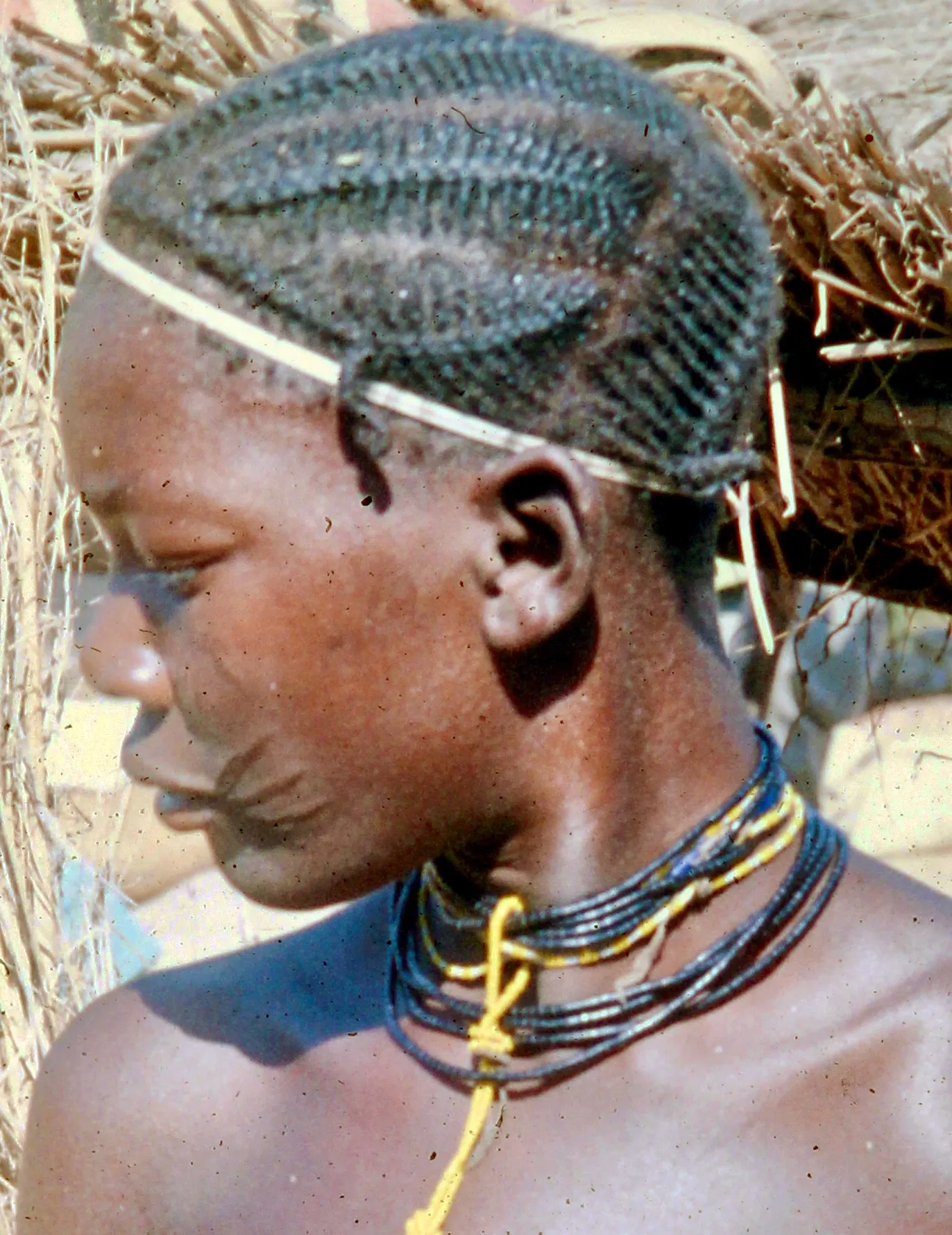 Image from Young Women