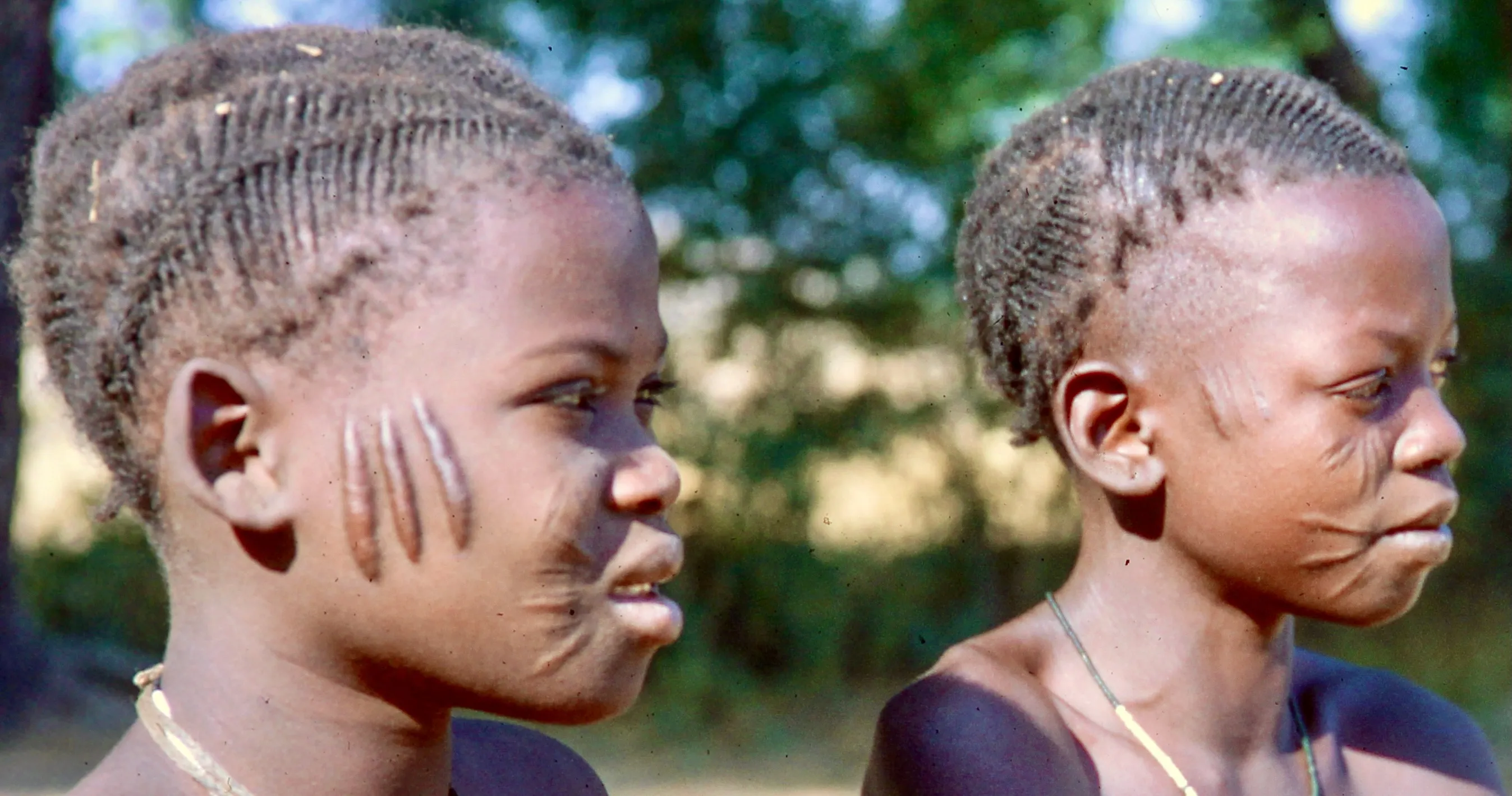 Image from Children