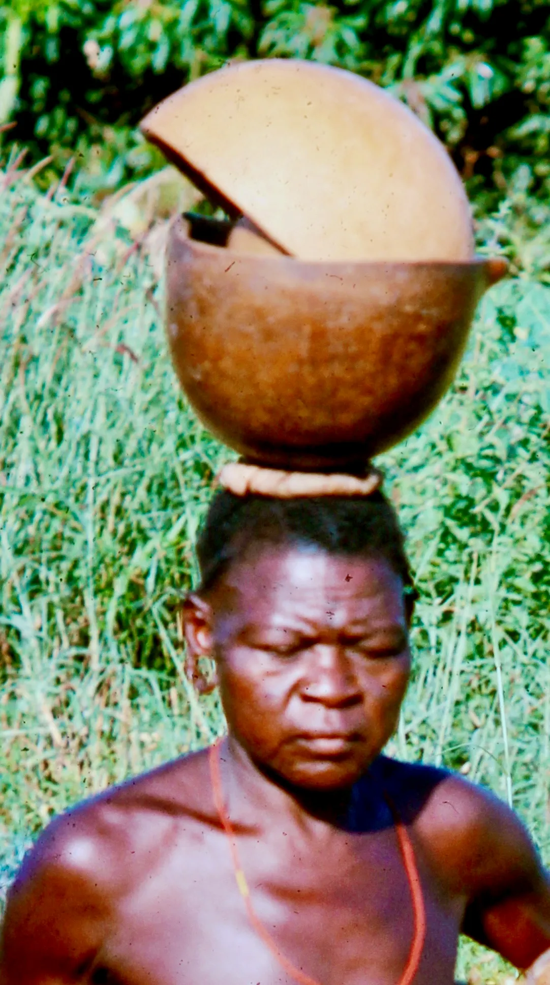 Image from Women
