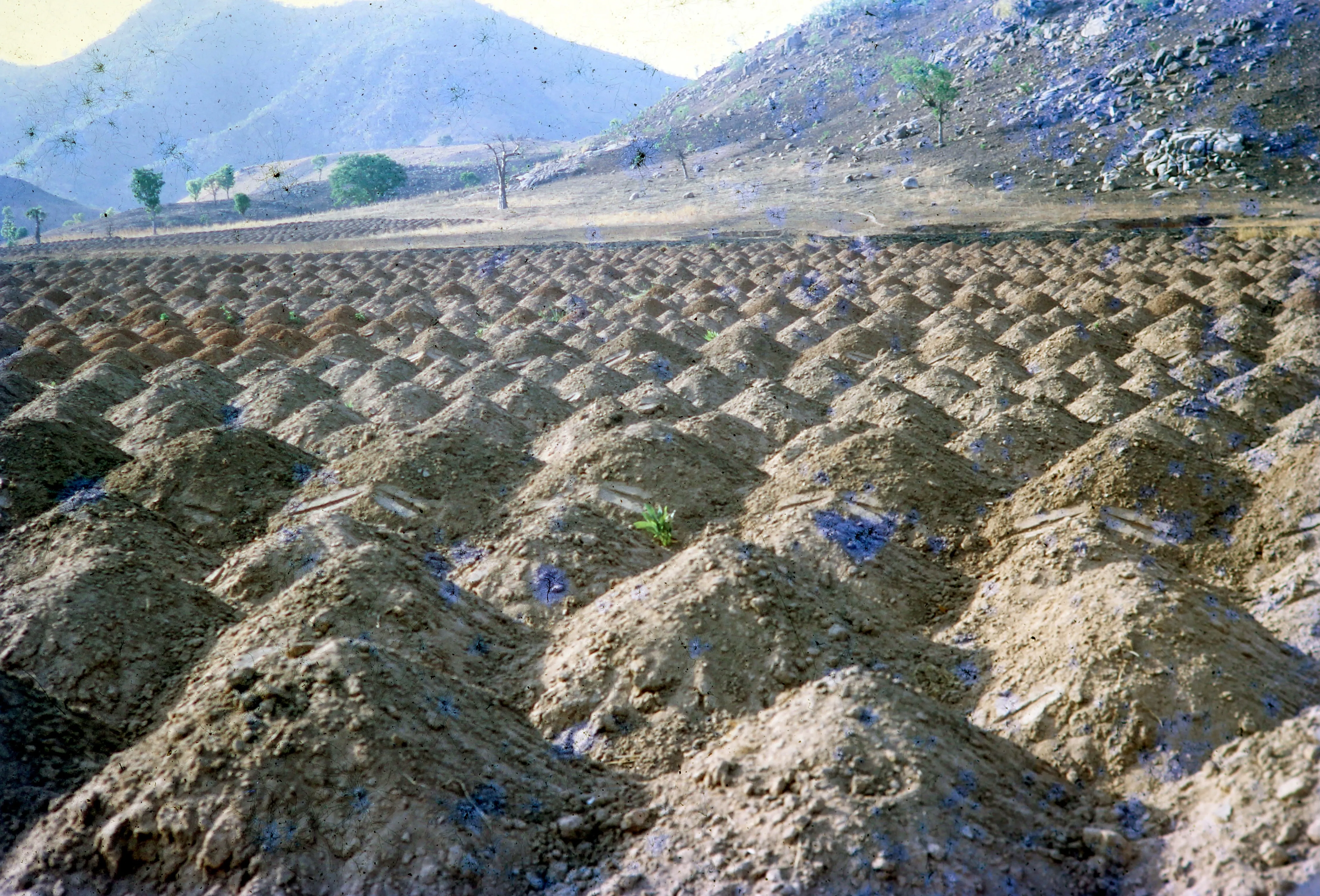 Image from Farming