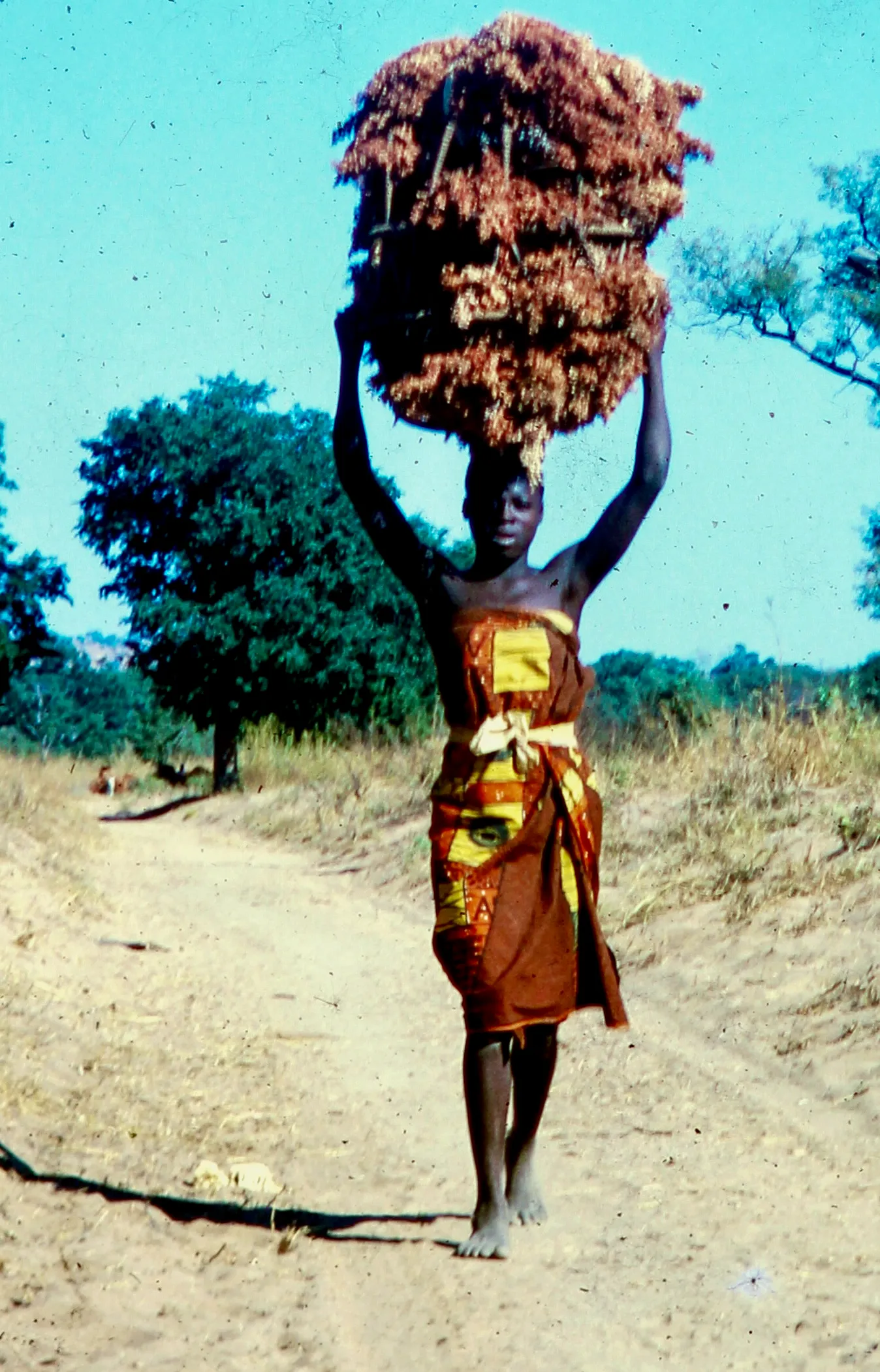 Image from Transportation