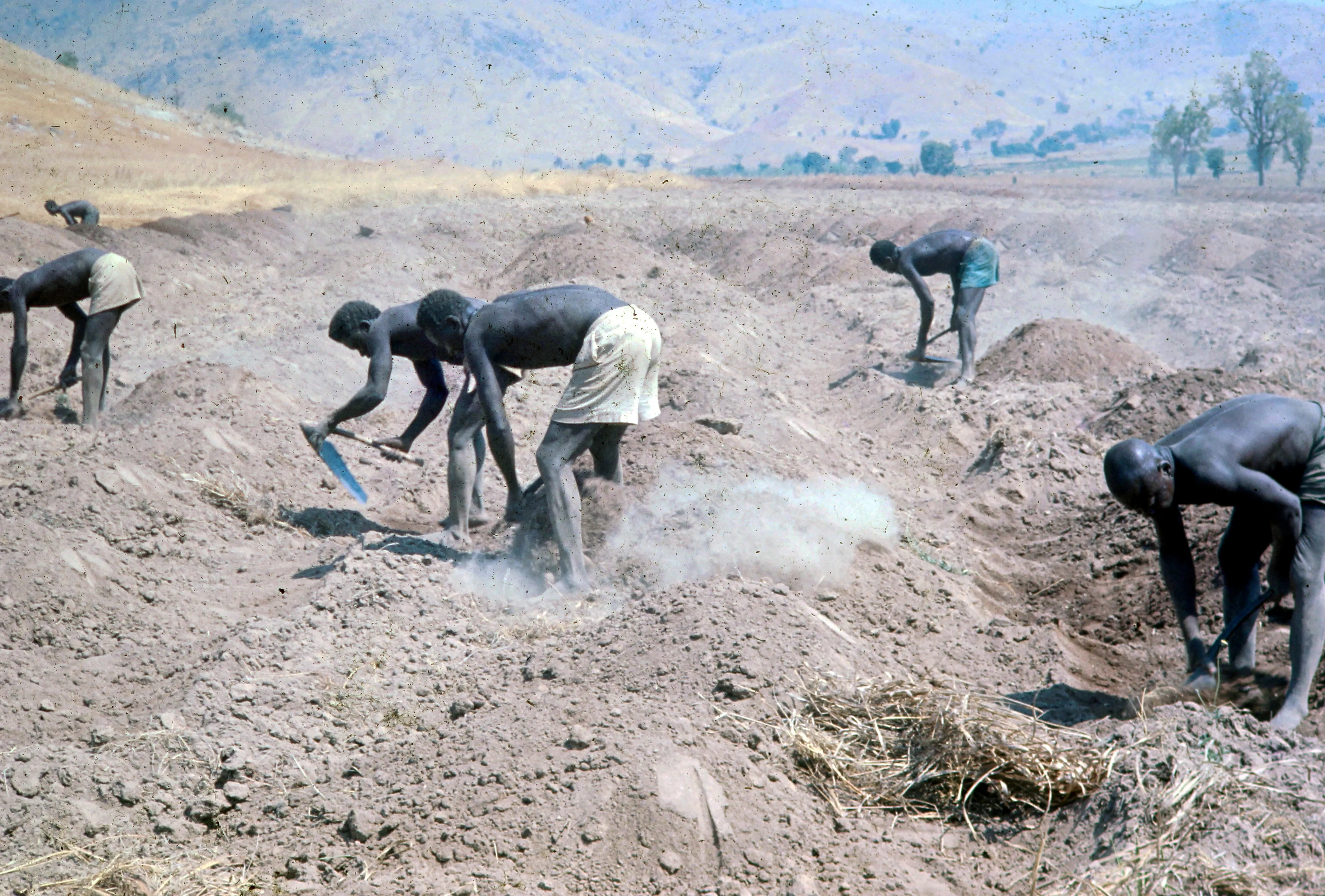 Image from Farming