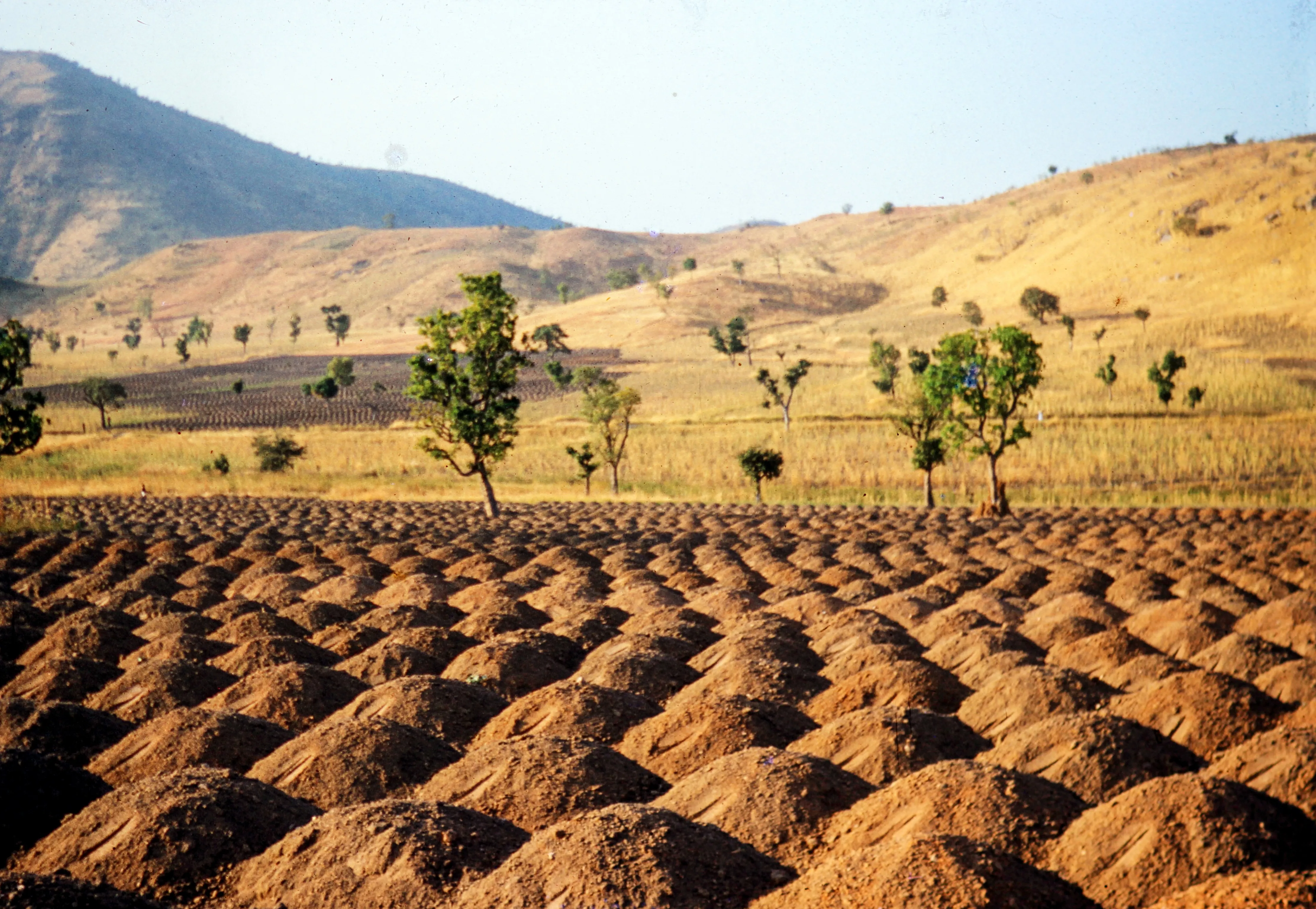 Farming