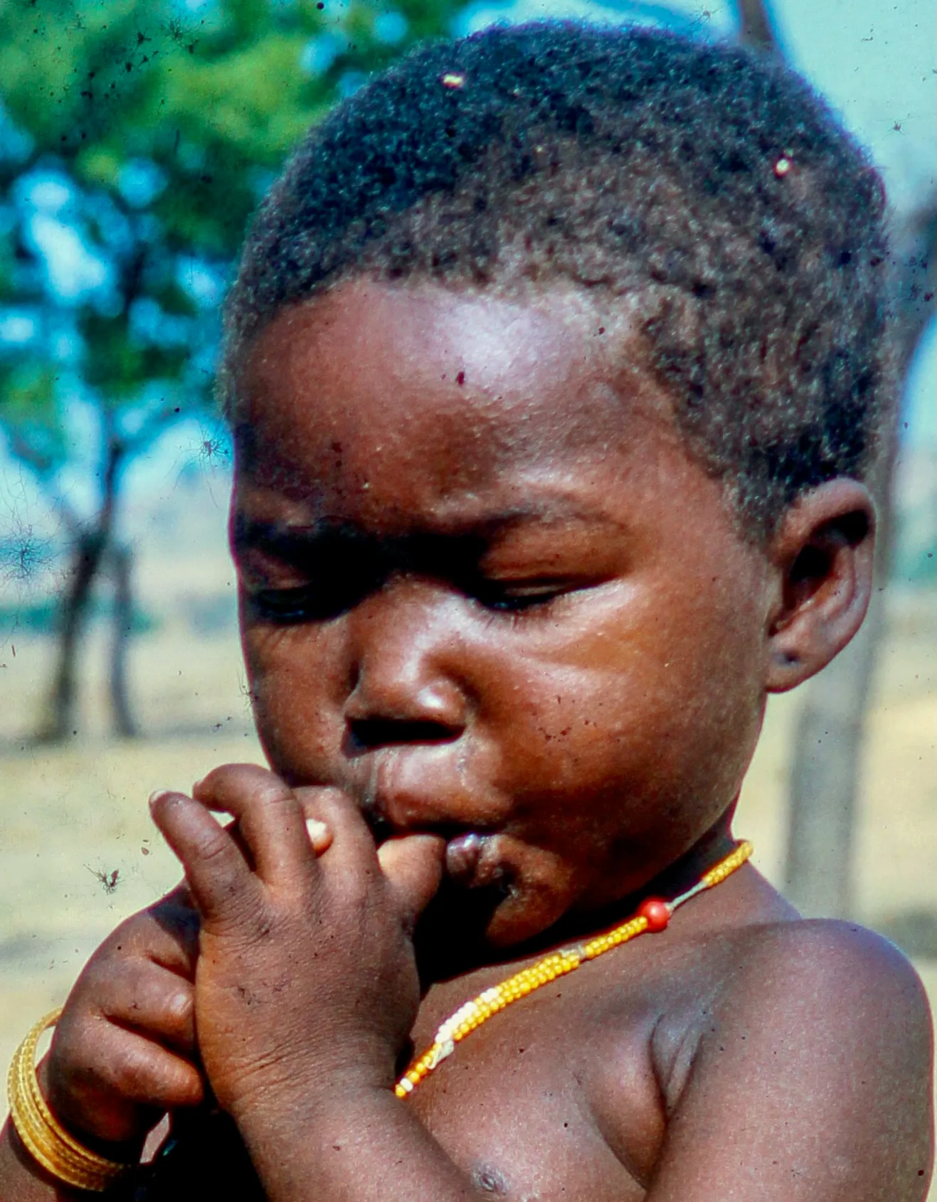 Image from Children