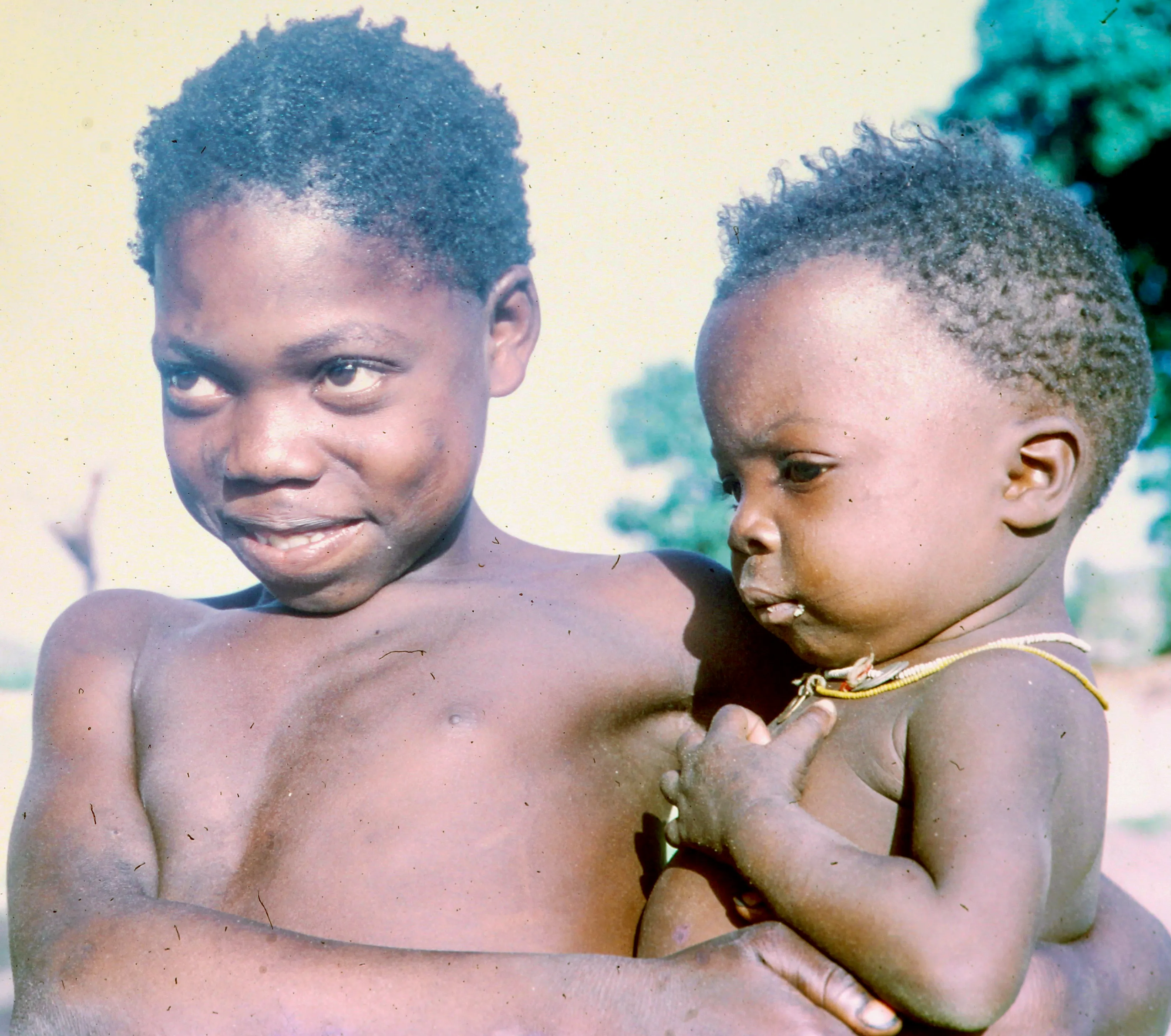 Image from Children