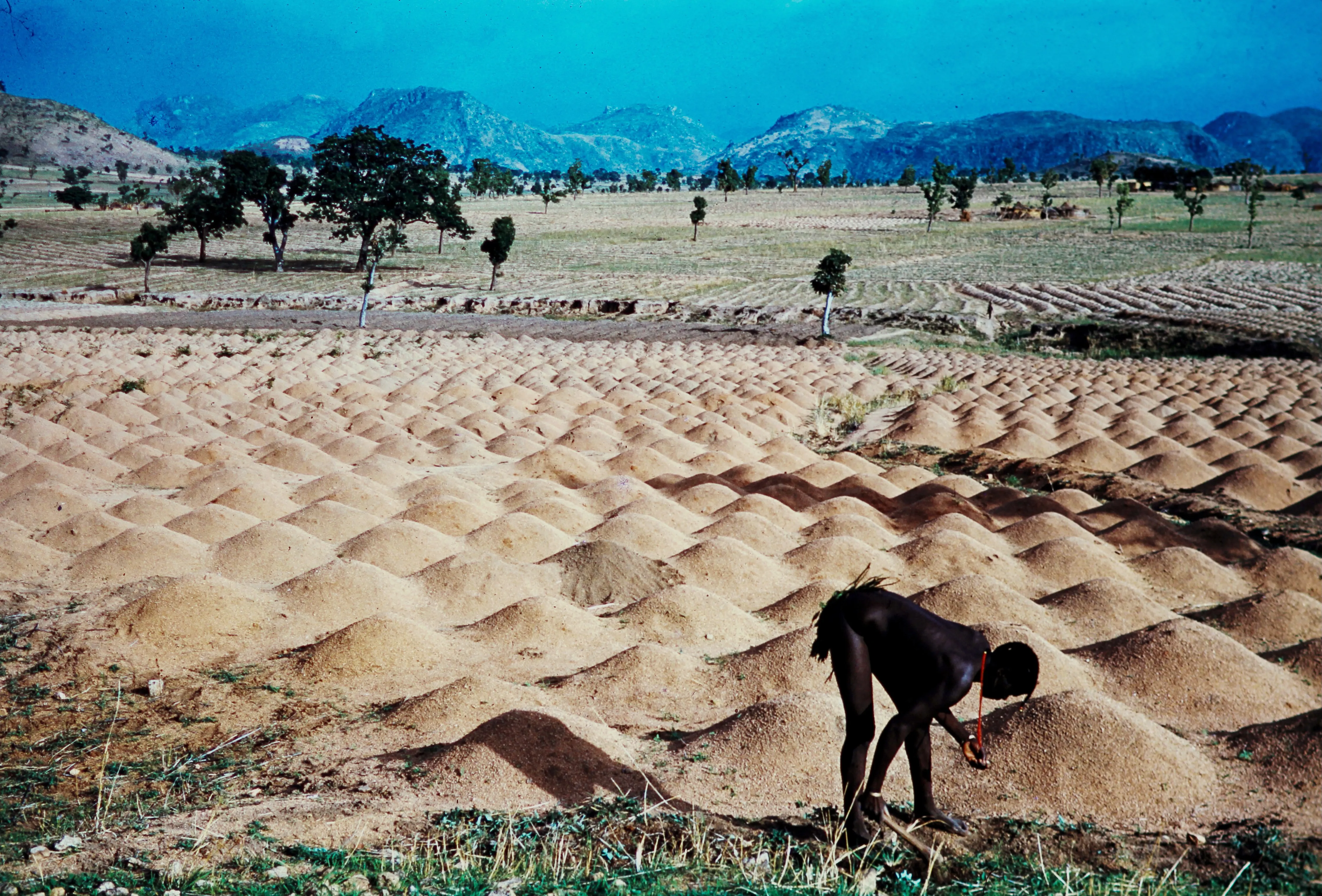Image from Farming