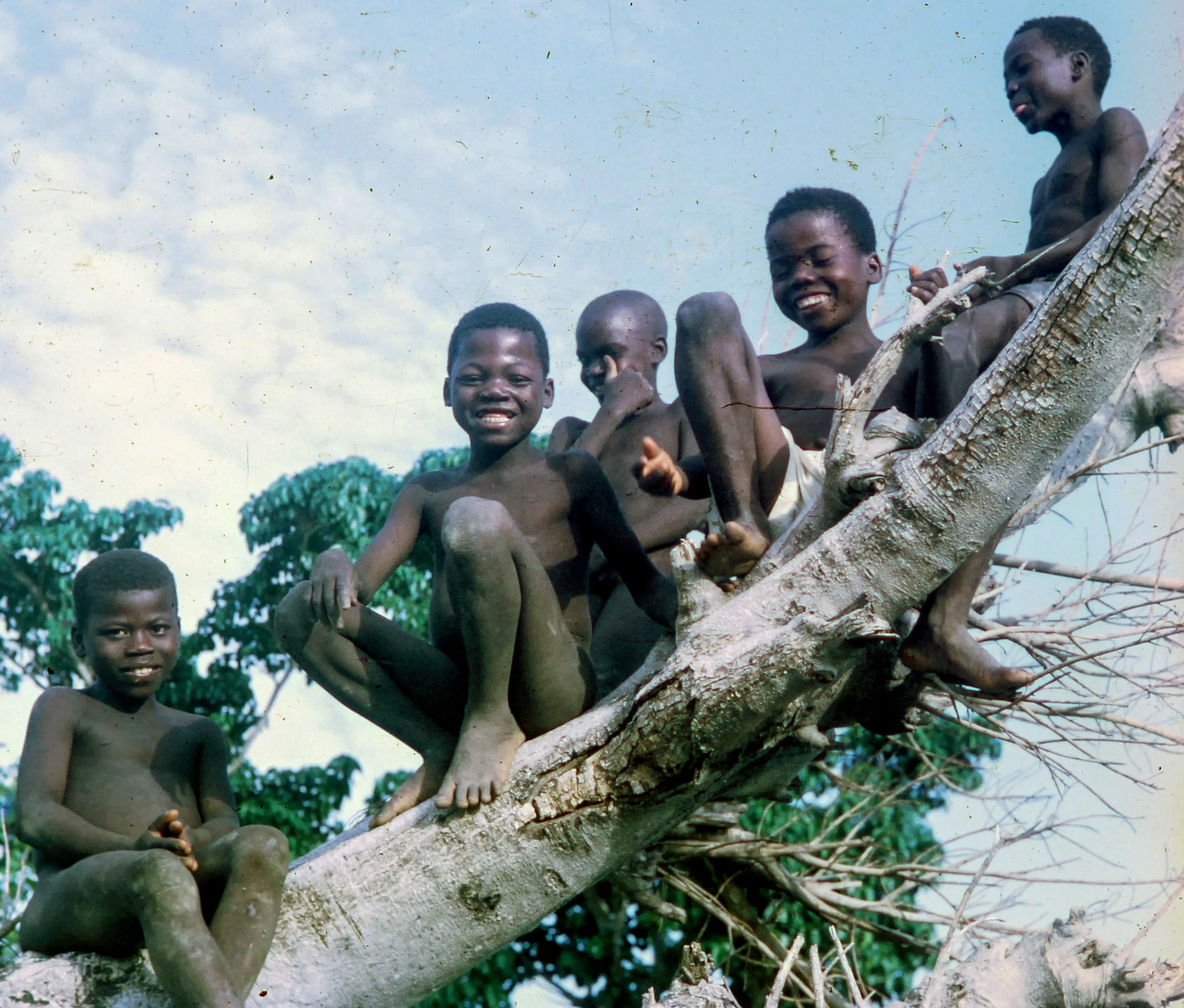 Image from Children