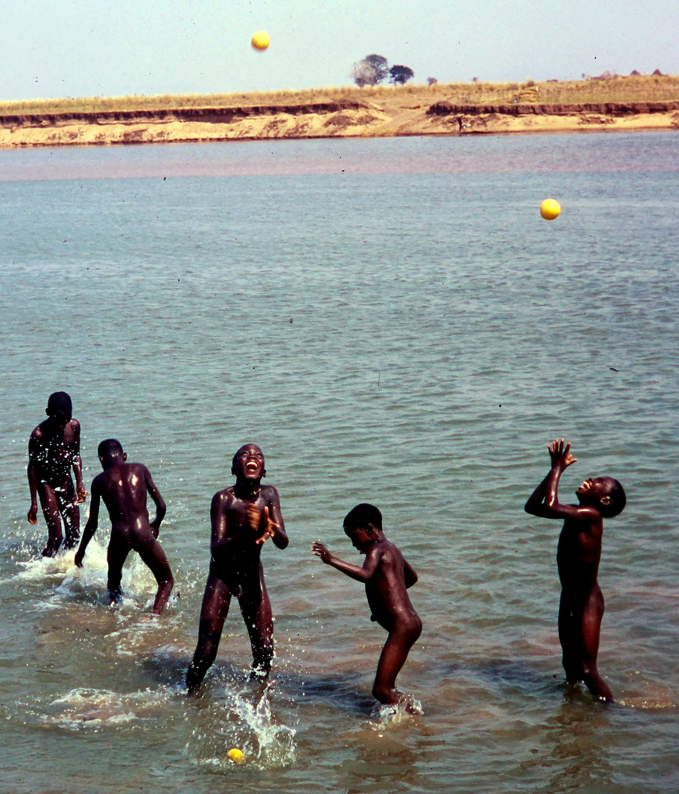 Image from Children